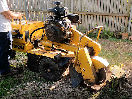 Tree Removal Services Gold Coast